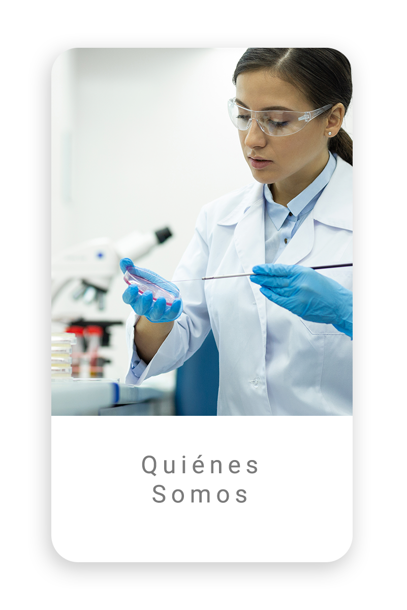 Quiénes Somos
